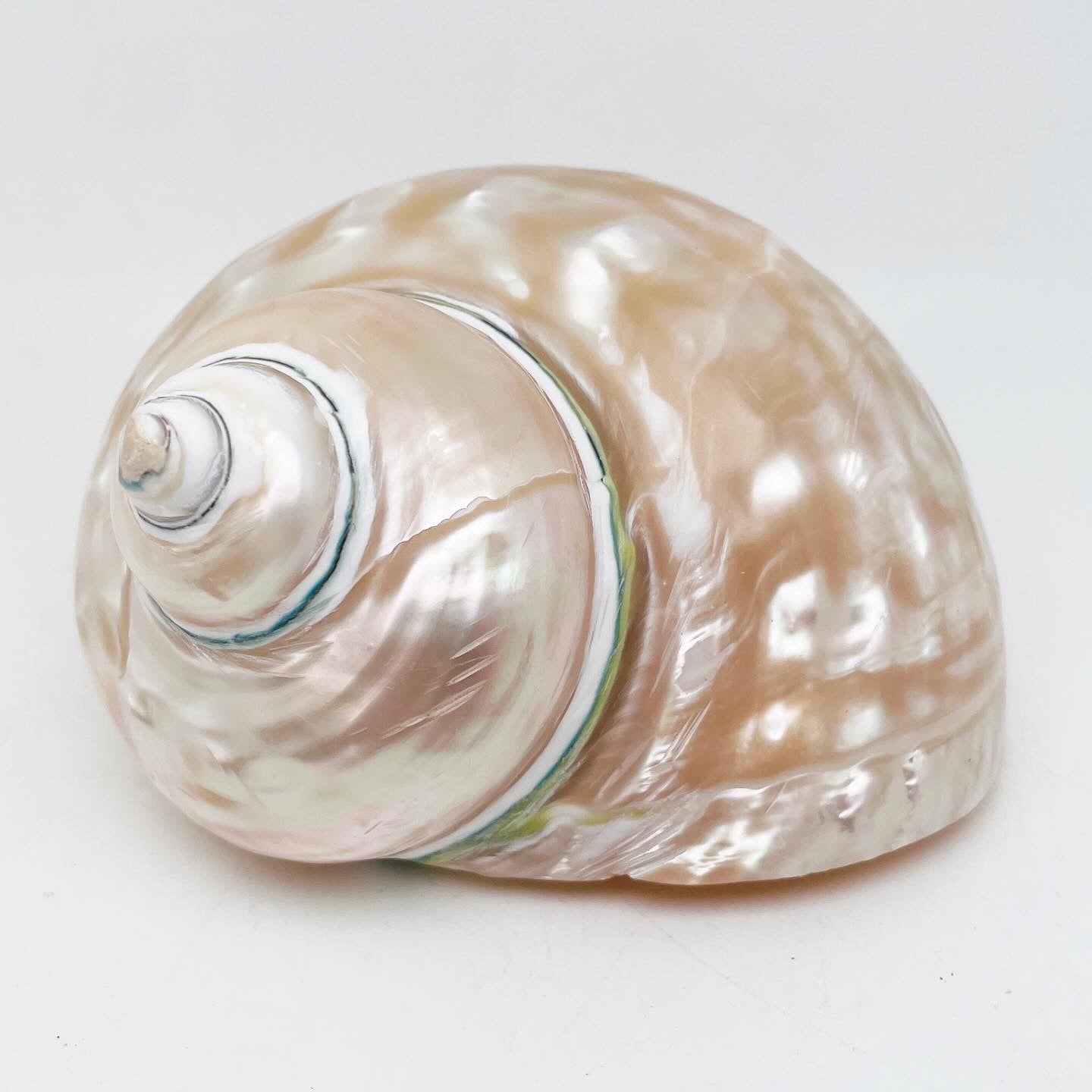 Boucle d'oreilles HONU