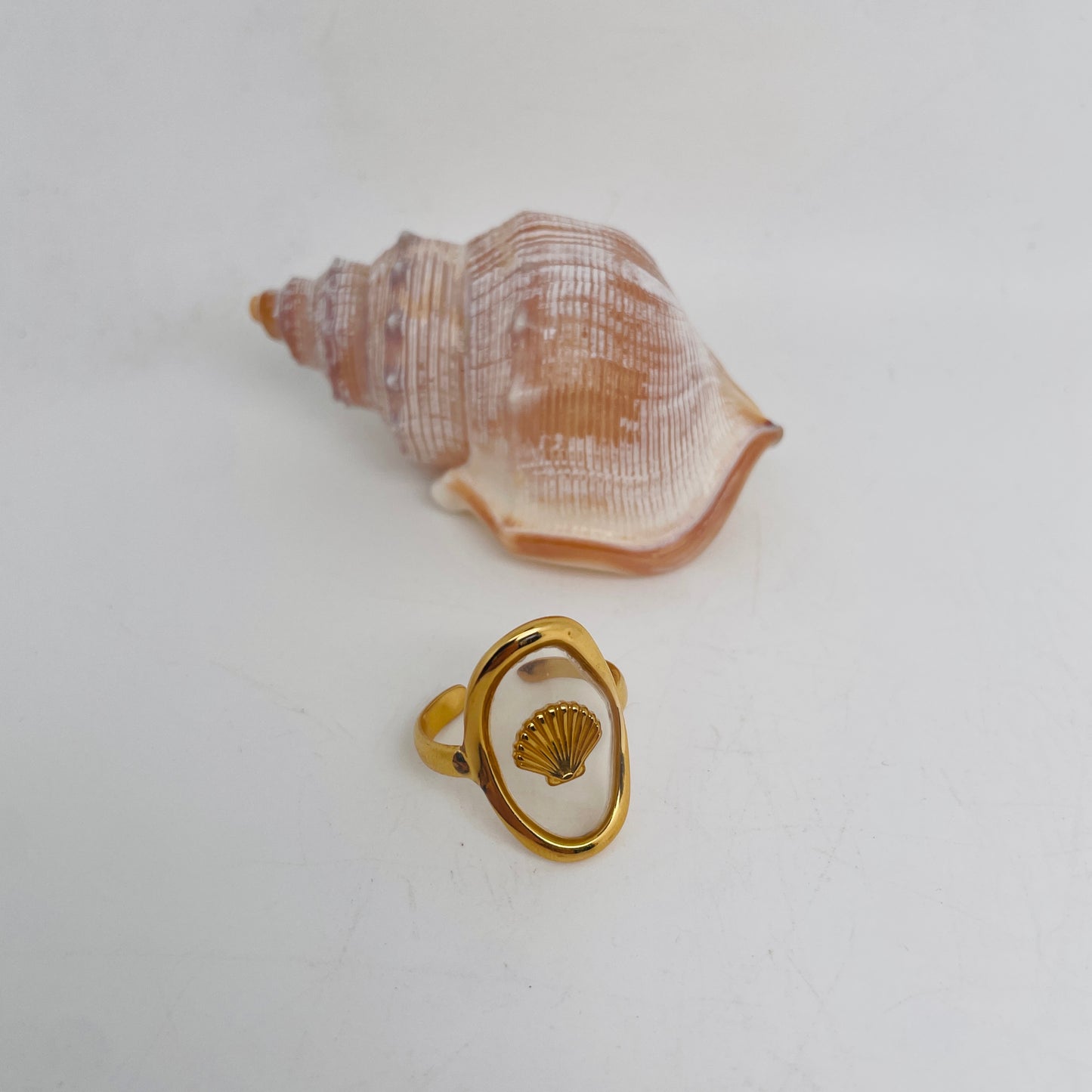 Bague coquillage