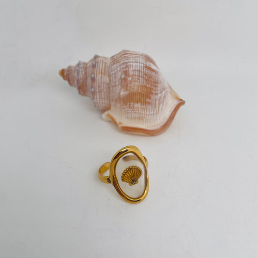 Bague coquillage