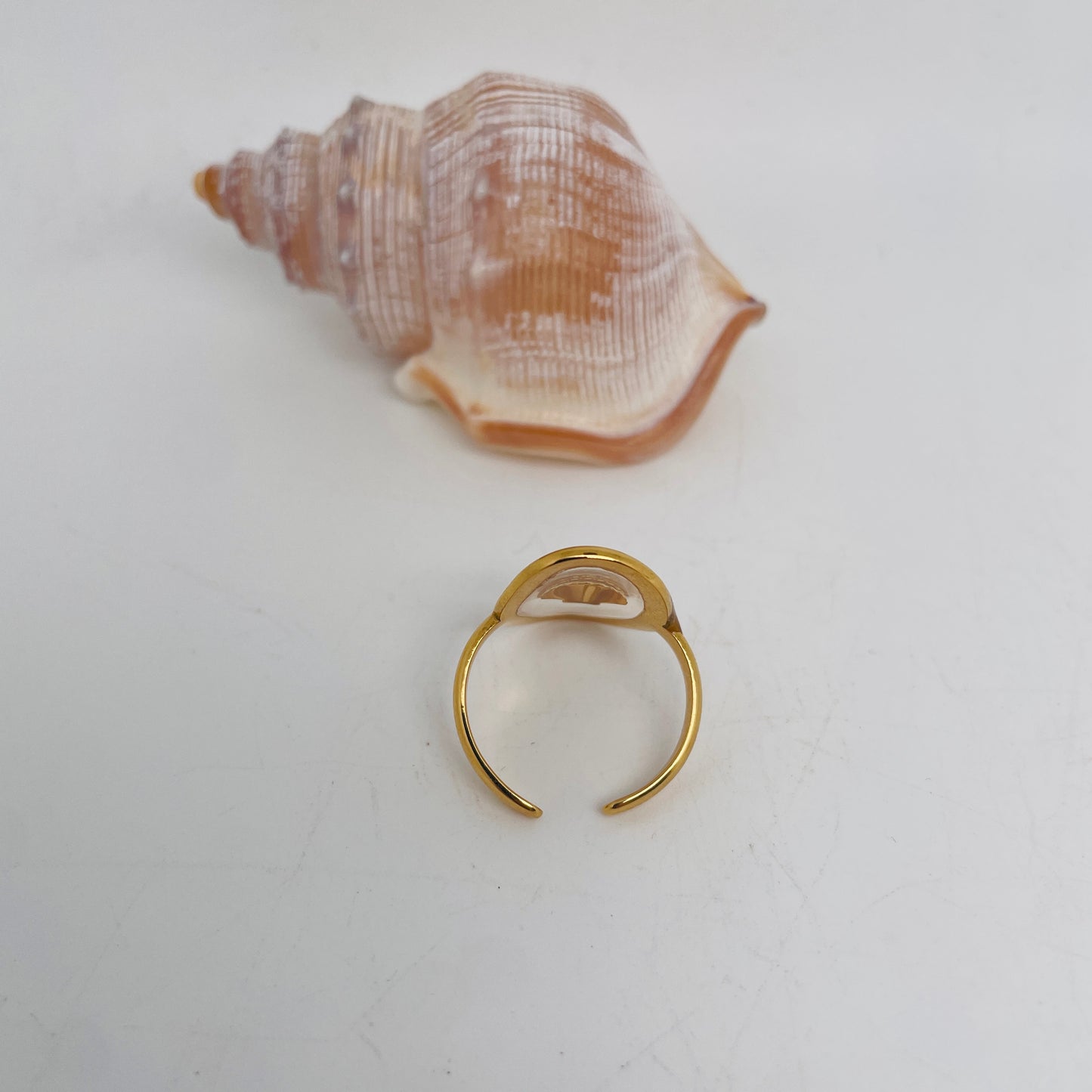 Bague coquillage