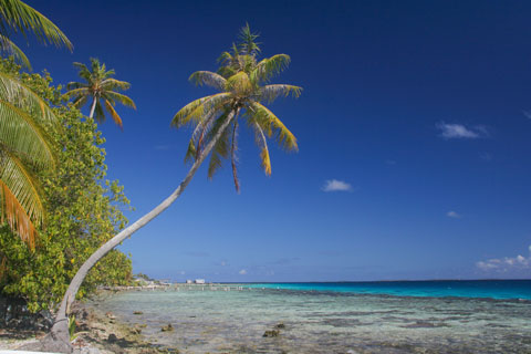 L'atoll de Ahe dans les Tuamotu d'où proviennent certaines perles